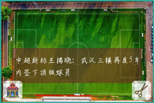 中超新标王揭晓：武汉三镇再度5年内签下顶级球员