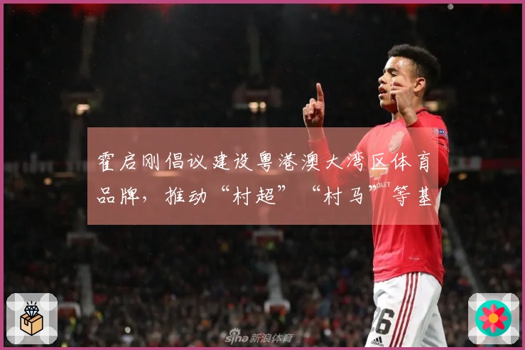 霍启刚倡议建设粤港澳大湾区体育品牌，推动“村超”“村马”等基层体育活动